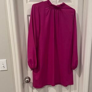 Elegant Magenta Long Sleeve Dress